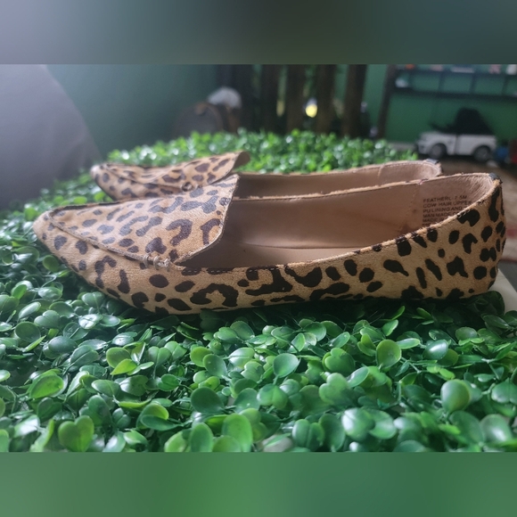 Steve Madden Leopard Print Flats - Picture 1 of 7